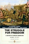 The struggle for freedom : a history of African Americans